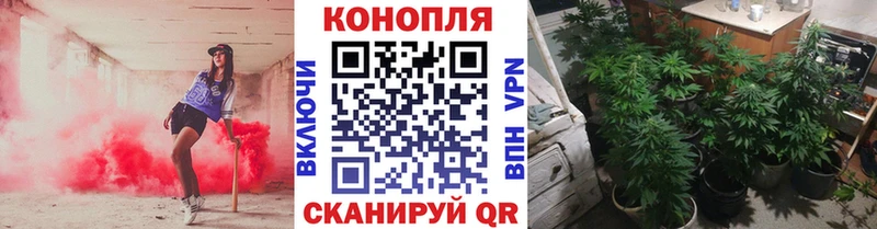 Наркотические вещества Жердевка ГАШИШ  omg зеркало  Мефедрон  Конопля  COCAIN  АМФЕТАМИН 